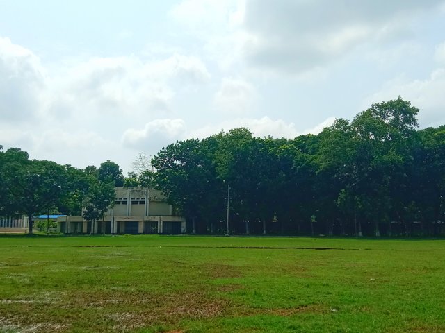 IMG_20250720_073330.jpg