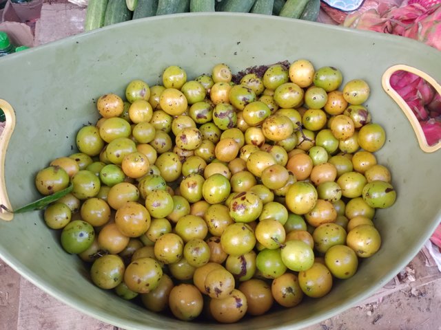 IMG20250810180208.jpg