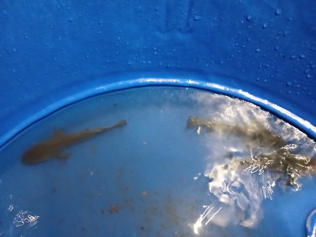 20250428_185427.jpg