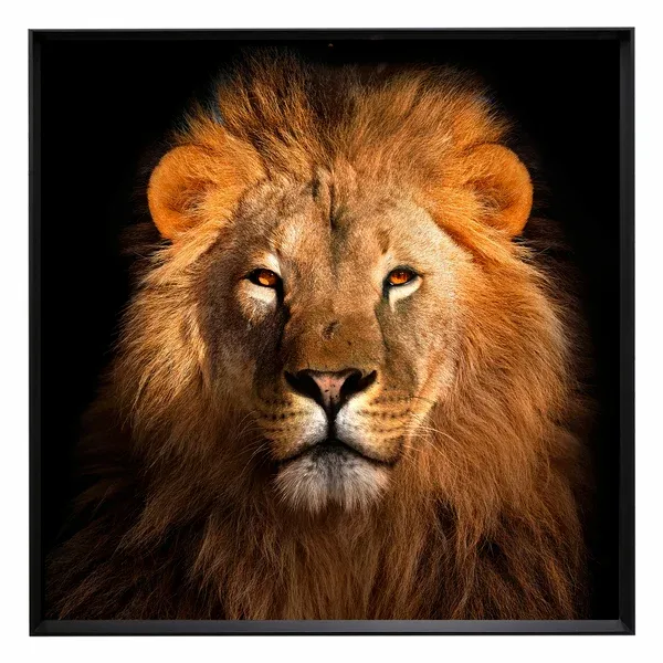 lion.webp