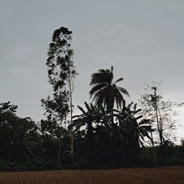 1000028683.jpg