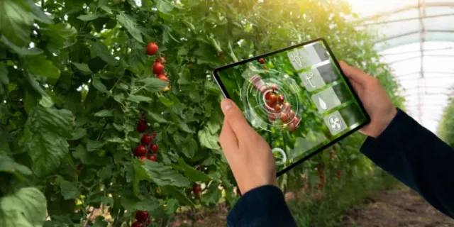 technologies-in-agriculture-fr.png-768x384.webp