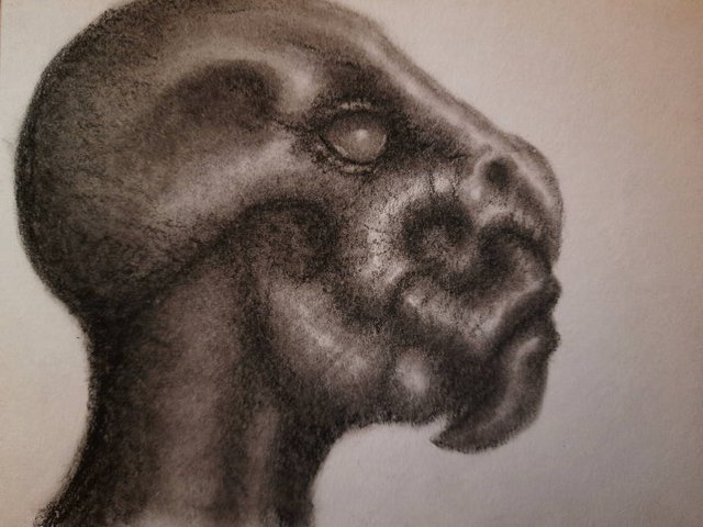 20250429_111655.jpg