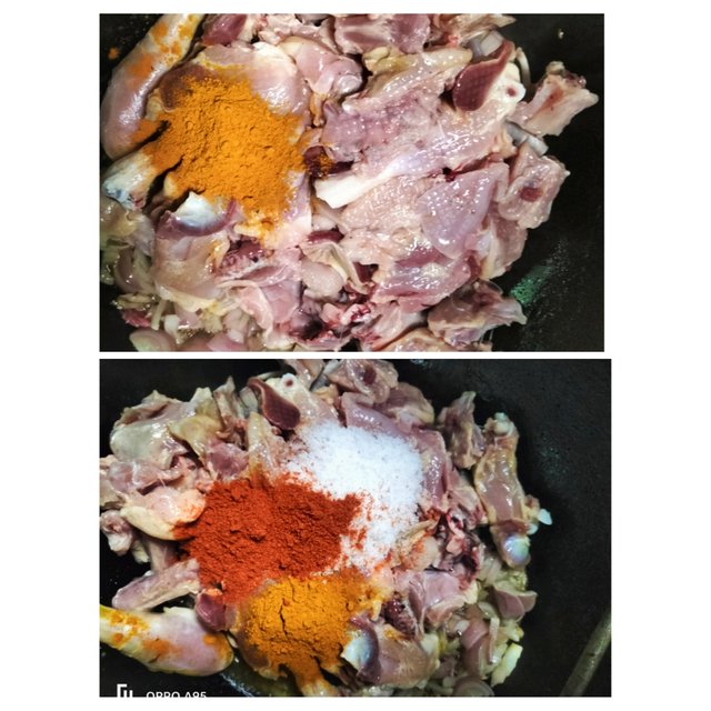 PhotoCollage_1744811664082.jpg