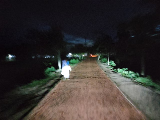 1000041951.jpg