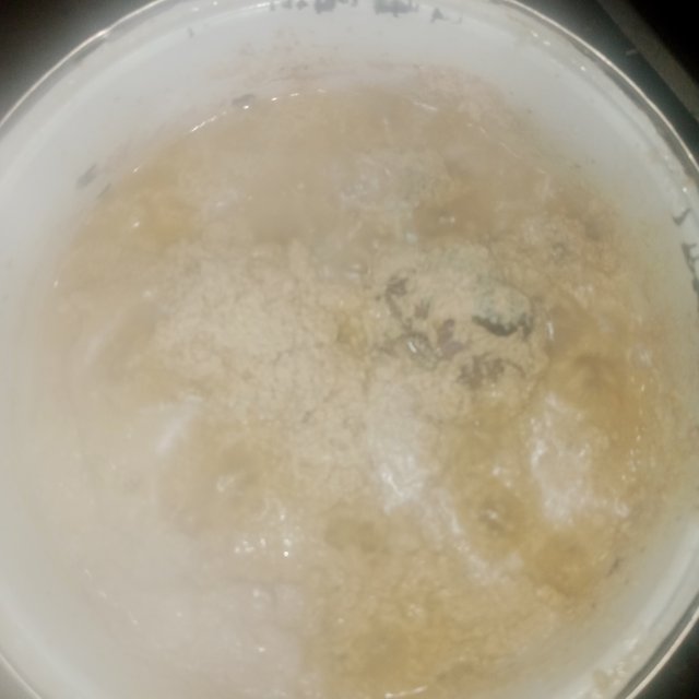IMG_20250223_100003_063.jpg