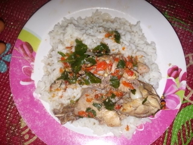 IMG_20250116_090557_234.jpg