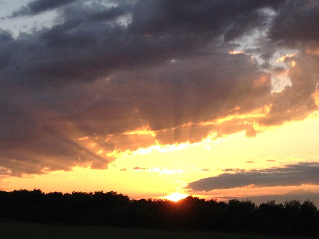 sunset yellow rays 1000.JPG