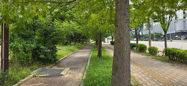 KakaoTalk_20250801_022604629_03.jpg