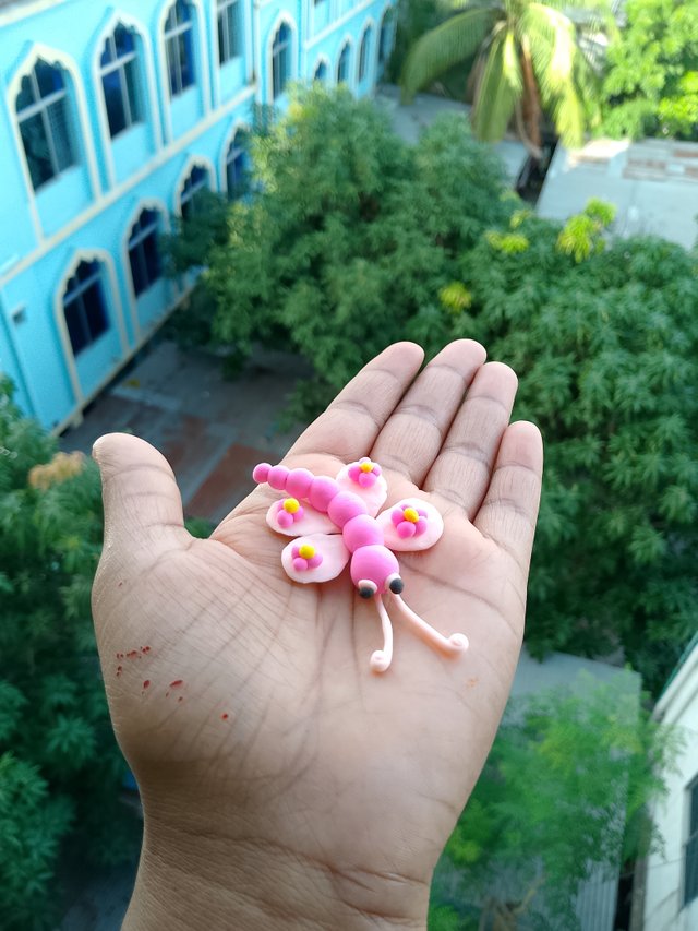 1000057584.jpg
