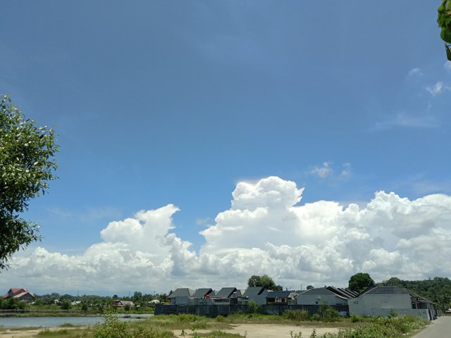 IMG_20250403_125552.jpg
