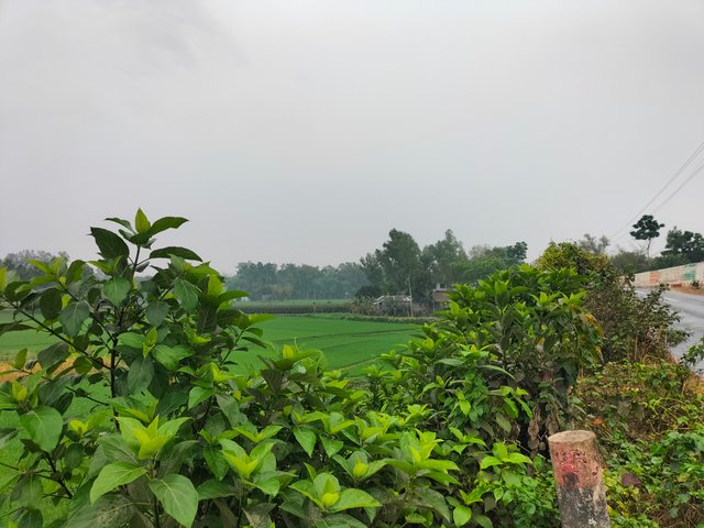 IMG20250321132700.jpg