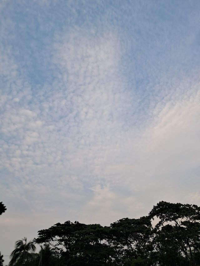 20250404_172653.jpg