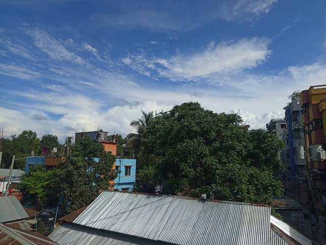 1000009705.jpg