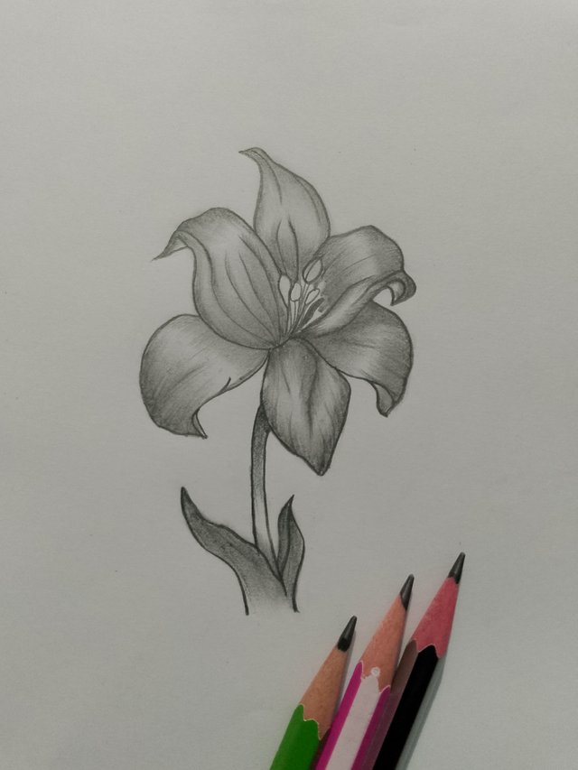 1000054332.jpg