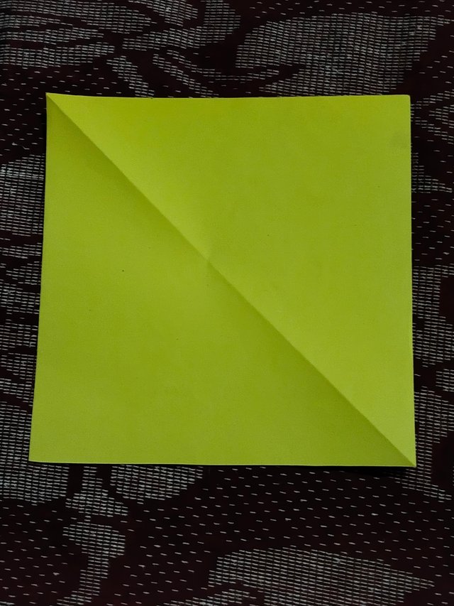 1000014464.jpg