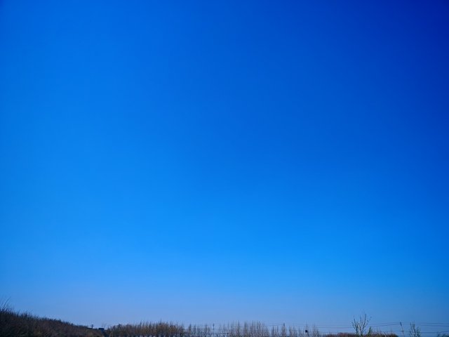 IMG_20250318_134235.jpg