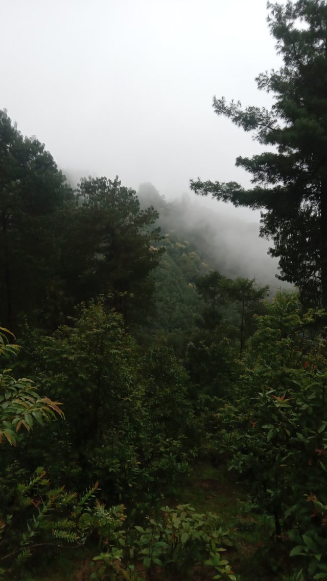 20250814_154823.jpg