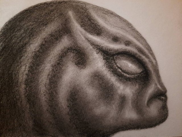 20250508_114545.jpg