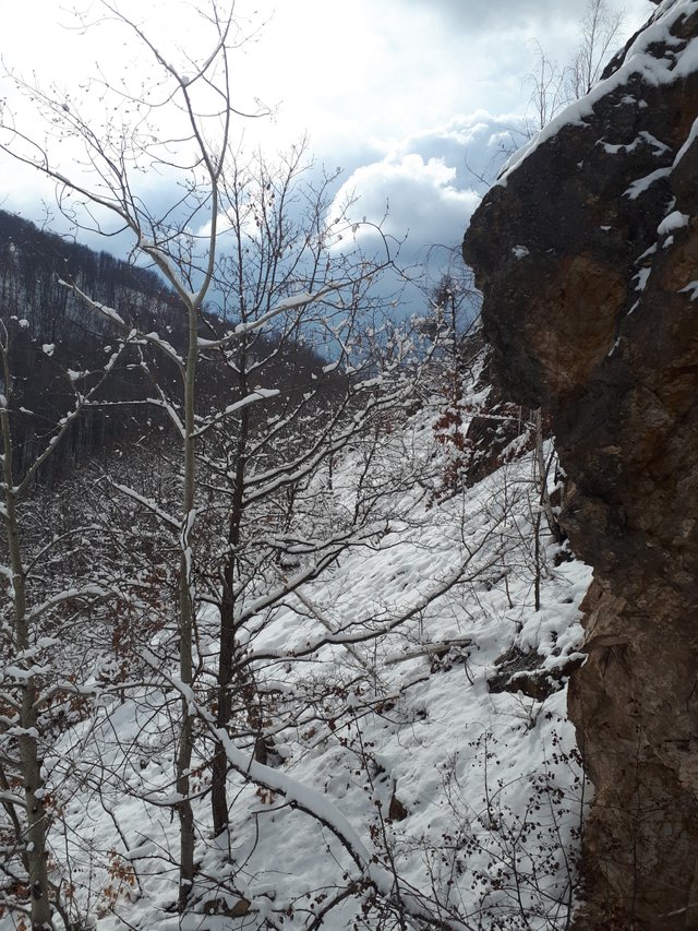20190213_130536.jpg