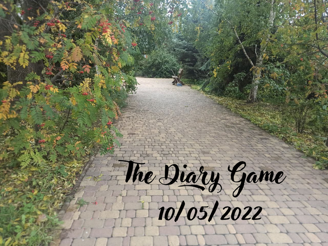 The Diary Game 10052022.png
