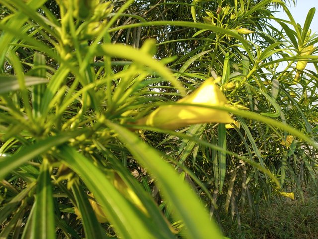 20220410_080926.jpg