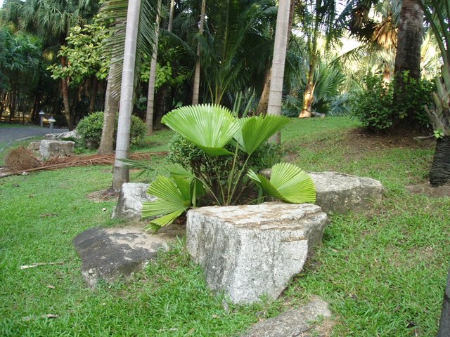 Queen Sirikit Park - stones