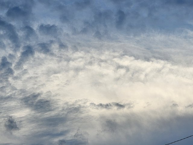 1000033718.jpg