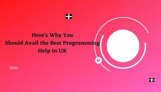 Here's Why You Should Avail the Best Programming Help in UK.jpg