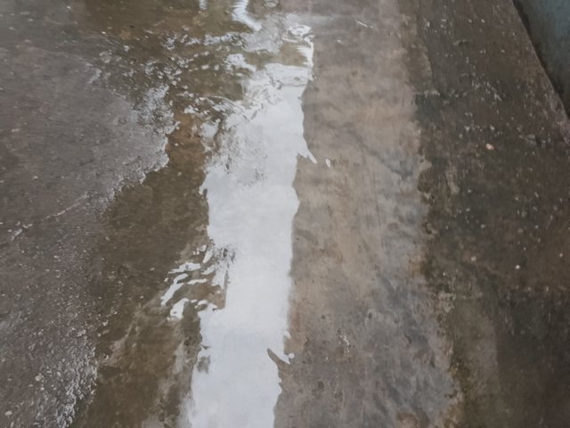 1000125715.jpg
