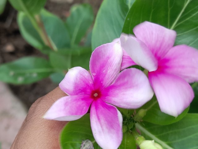 20250531_122651.jpg