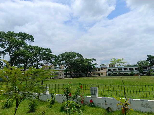 1000103155.jpg