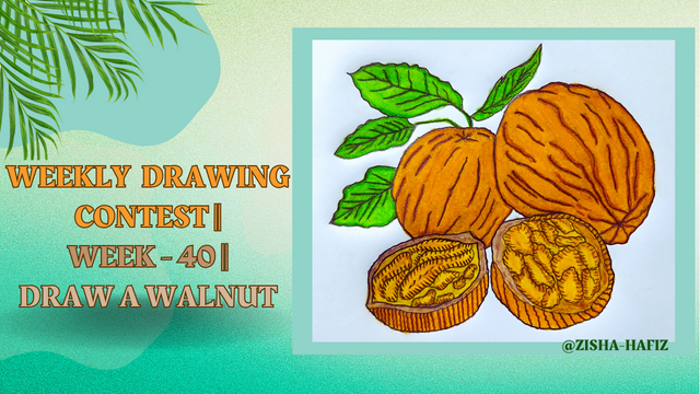 Weekly Drawing Contest  Week-40 Draw a Walnut.png