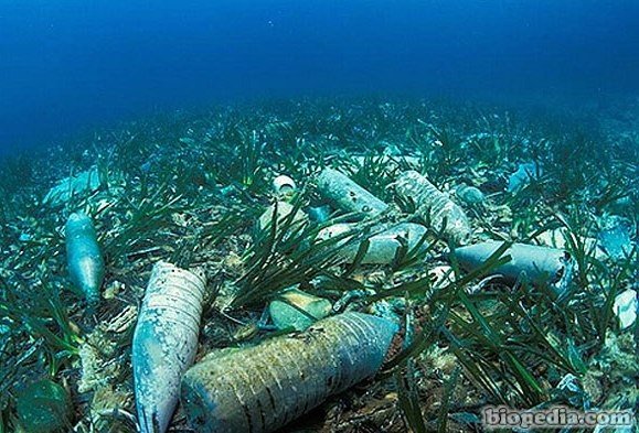 contaminacion-oceanos.jpg
