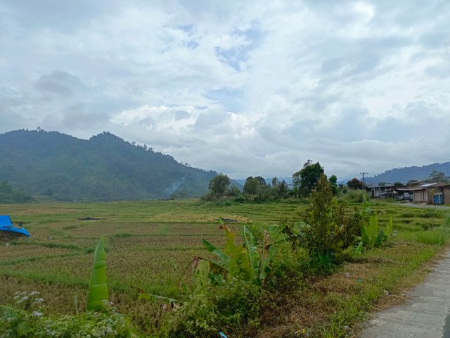 IMG_20240304_144042_978.jpg