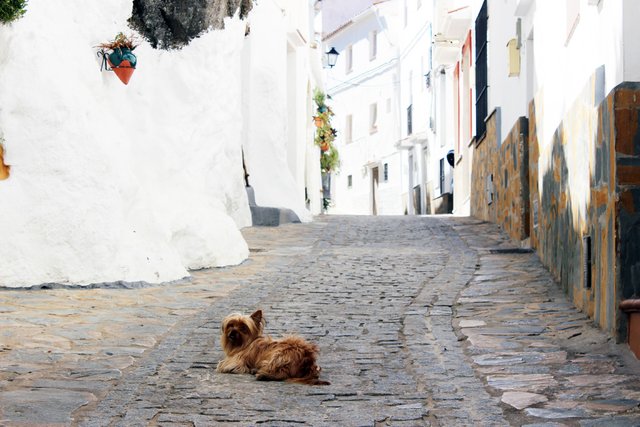 Casares-Village-Pueblo-Street.jpg