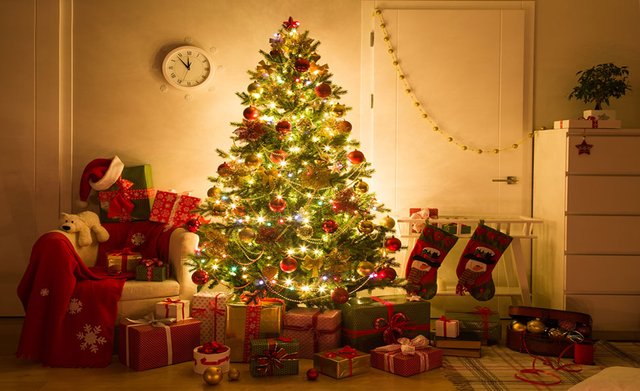 Christmas-tree-natural-artificial-sustainable-ecological.jpg