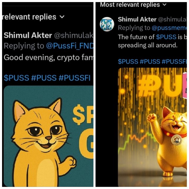 photocollage_2025513195928946.jpg