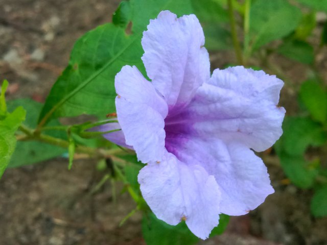 IMG_20250913_061422.jpg
