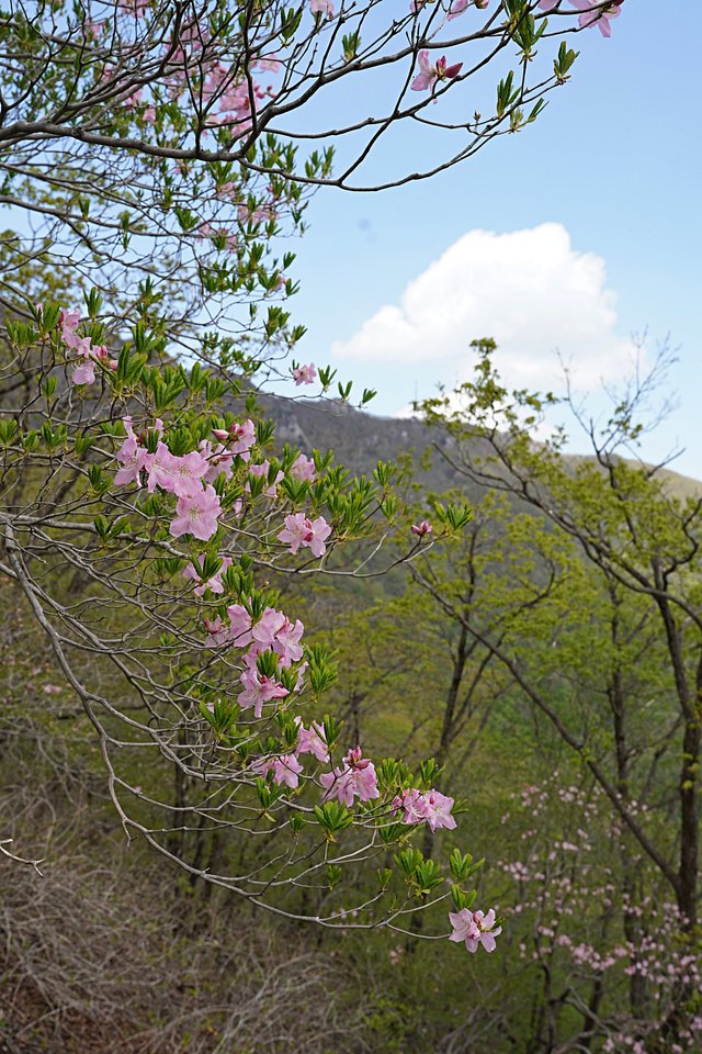 b-DSC08975.JPG