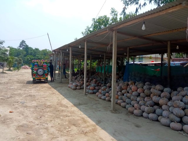 কুমড়া (2).jpg