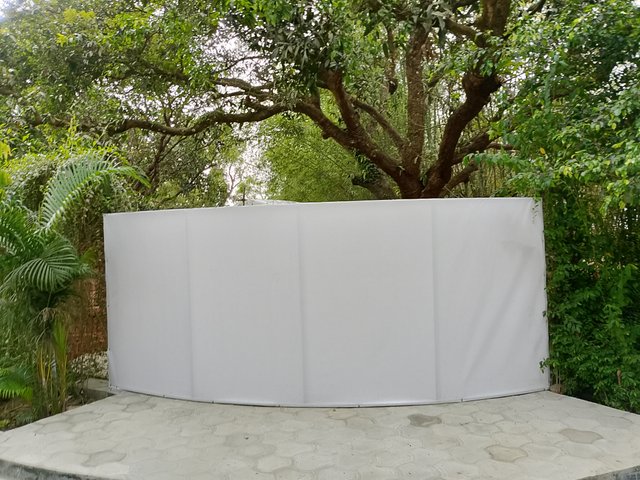 1000035781.jpg