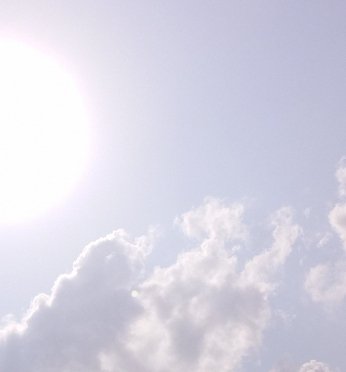 IMG_20250127_103810_148.jpg