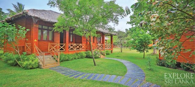 The chalets made of neem wood, ensure absolute privacy and comfort.jpg