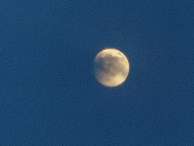 IMG_20250906_182547.jpg