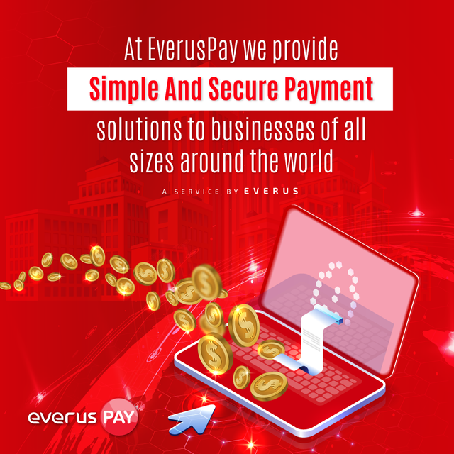 evruspay--simple-&-secure-payment.png