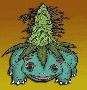 weedstoise.jpg