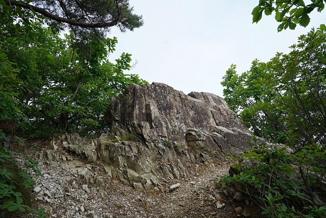 b-DSC07374.JPG