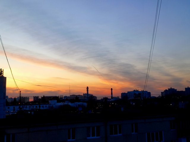 1000060544.jpg