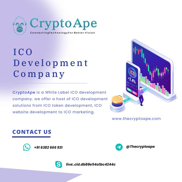 ico development company.jpg